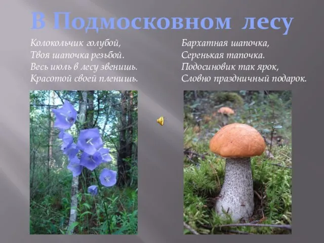 В Подмосковном лесу Колокольчик голубой, Твоя шапочка резьбой. Весь июль в лесу