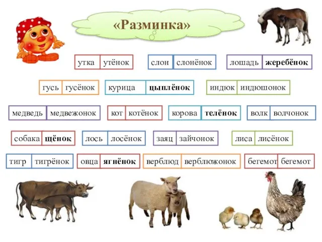 «Разминка» утка утёнок слон слонёнок лошадь жеребёнок гусь гусёнок индюк индюшонок курица