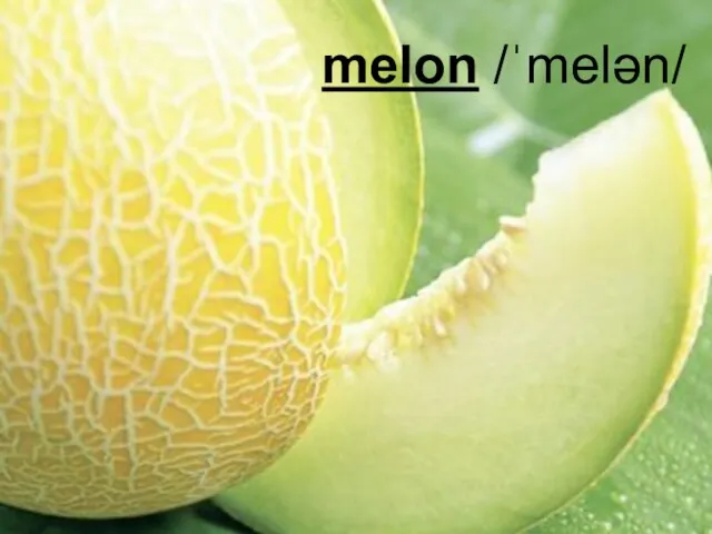 melon /ˈmelən/