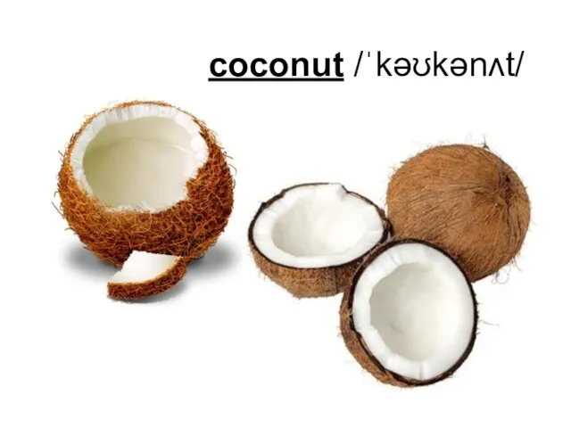 coconut /ˈkəʊkənʌt/