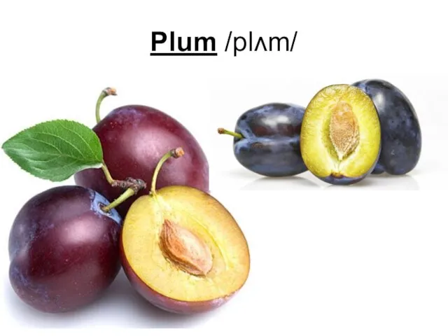 Plum /plʌm/