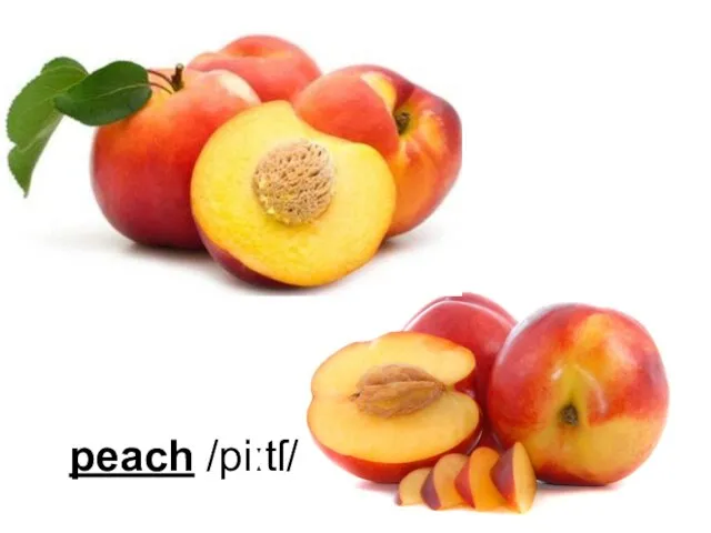 peach /piːtſ/