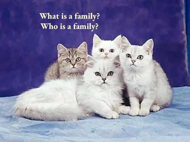 What is a family? Who is a family?