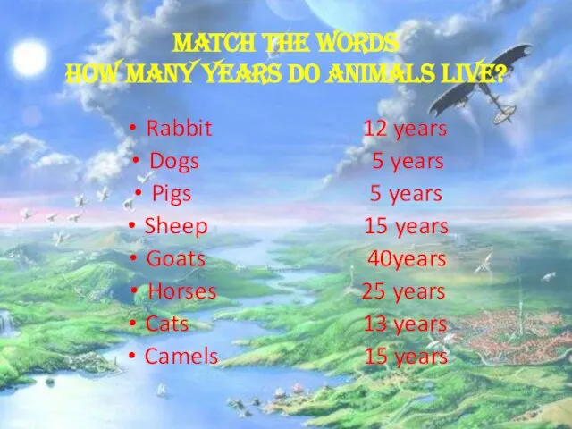 Match the words How many years do animals live? Rabbit 12 years