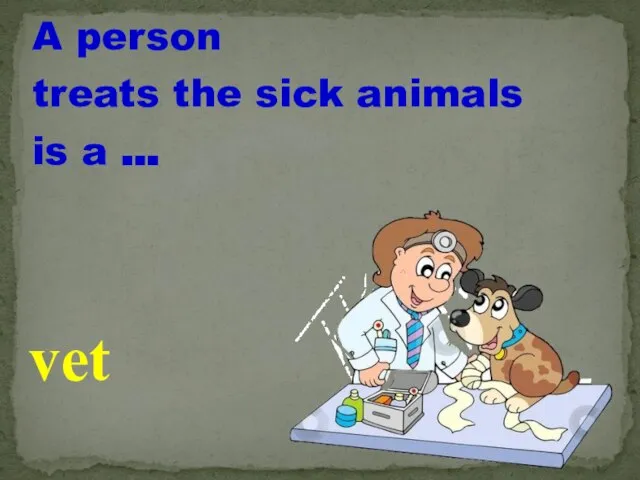 A person treats the sick animals is a … vet