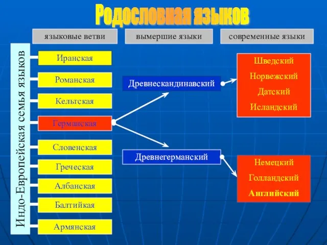 Индо-Европейская семья языков Иранская Романская Кельтская Германская Словенская Греческая Албанская Армянская Балтийкая