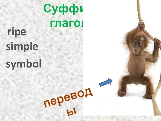 Суффиксы глаголов en ify ize rip e simpl e symbol переводы