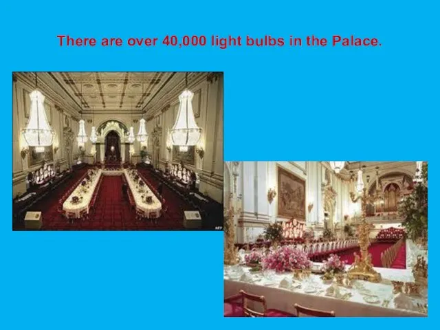 There are over 40,000 light bulbs in the Palace.