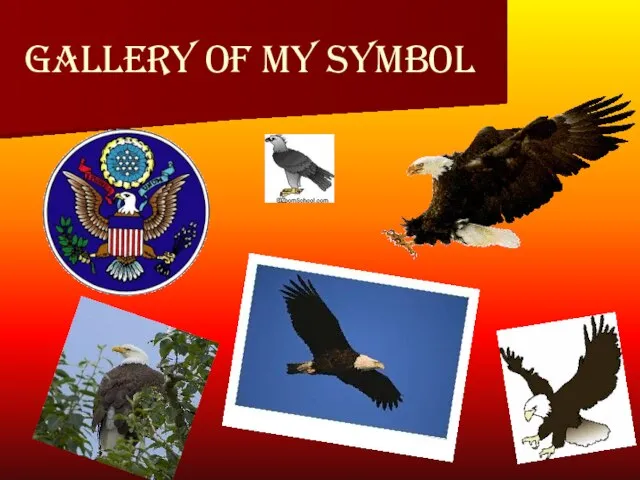 Gallery of my symbol