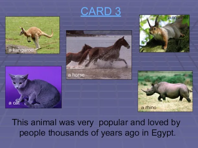 CARD 3 This animal was very popular and loved by people thousands