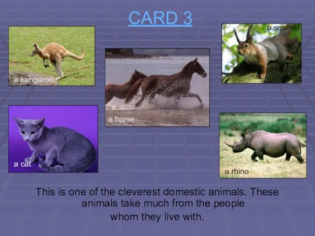 CARD 3 This is one of the cleverest domestic animals. These animals