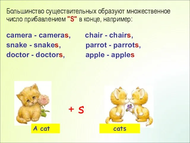 Большинство существительных образуют множественное число прибавлением "S" в конце, например: camera -