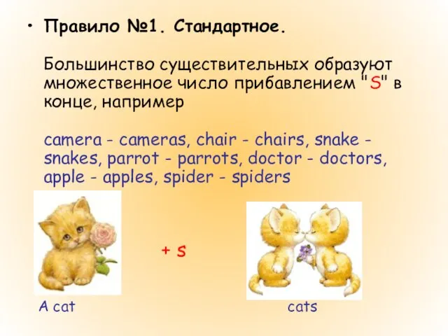 Правило №1. Стандартное. Большинство существительных образуют множественное число прибавлением "S" в конце,