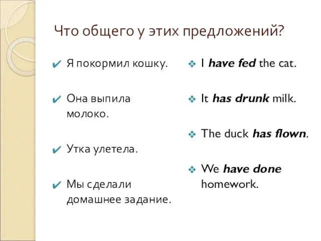 Что общего у этих предложений? Я покормил кошку. Она выпила молоко. Утка