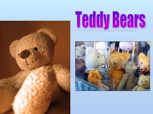 Teddy Bears