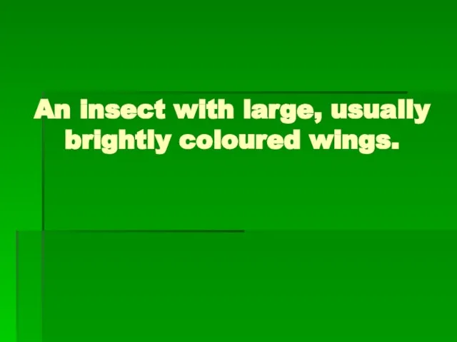 An insect with large, usually brightly coloured wings.