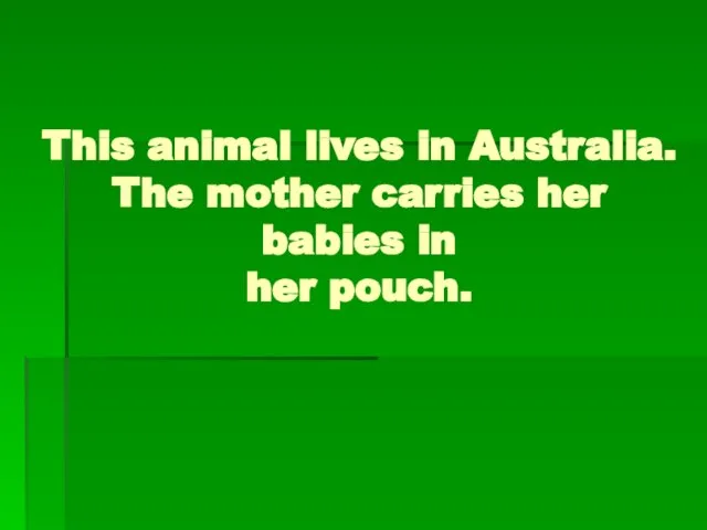 This animal lives in Australia. The mother carries her babies in her pouch.