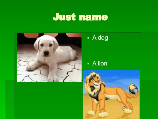 Just name A dog A lion