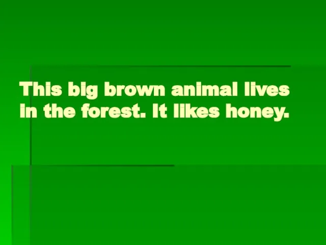 This big brown animal lives in the forest. It likes honey.