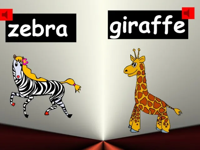 zebra giraffe