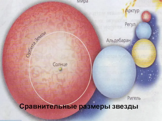 Сравнительные размеры звезды