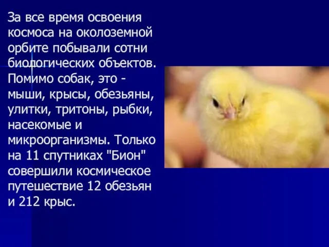 За все время освоения космоса на околоземной орбите побывали сотни биологических объектов.