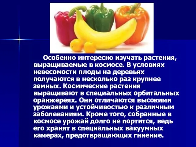 Особенно интересно изучать растения, выращиваемые в космосе. В условиях невесомости плоды на