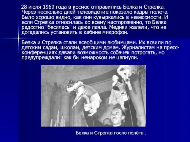 28 июля 1960 года в космос отправились Белка и Стрелка. Через несколько