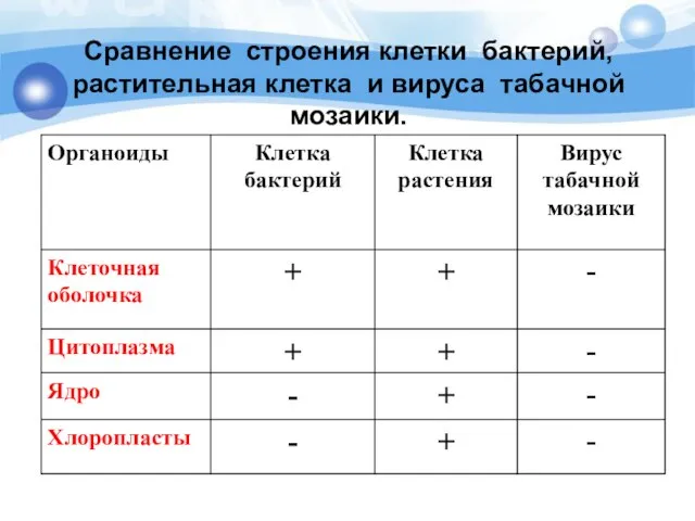 Сравнение строения клетки бактерий, растительная клетка и вируса табачной мозаики.