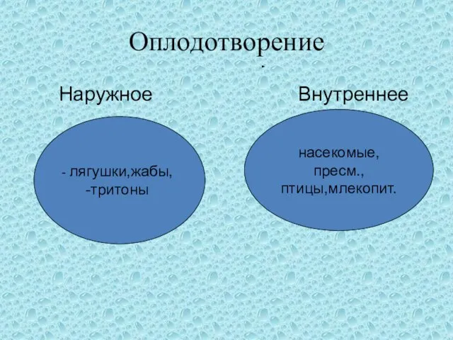 Оплодотворение Наружное Внутреннее насекомые,пресм., птицы,млекопит. лягушки,жабы, тритоны