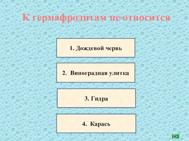 К гермафродитам не относится неверно верно 1. Дождевой червь 2. Виноградная улитка 3. Гидра 4. Карась