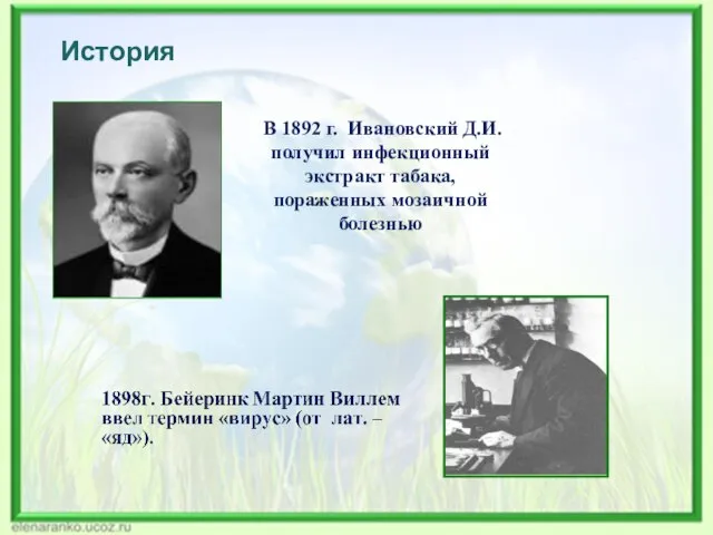 История В 1892 г. Ивановский Д.И. получил инфекционный экстракт табака, пораженных мозаичной болезнью