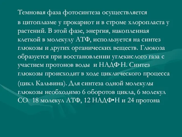 Темновая фаза фотосинтеза осуществляется в цитоплазме у прокариот и в строме хлоропласта