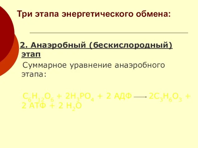 Три этапа энергетического обмена: 2. Анаэробный (бескислородный) этап Суммарное уравнение анаэробного этапа: