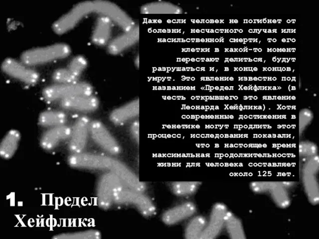 Предел Хейфлика Даже если человек не погибнет от болезни, несчастного случая или