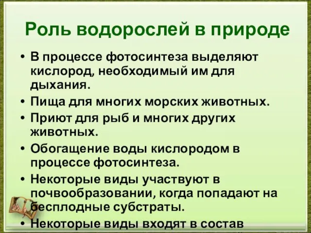 Роль водорослей в природе В процессе фотосинтеза выделяют кислород, необходимый им для