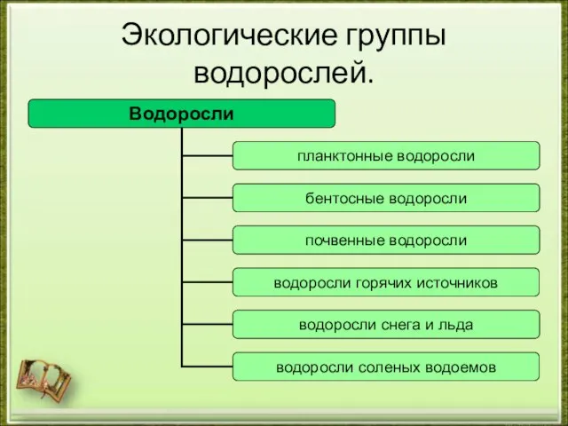 Экологические группы водорослей.