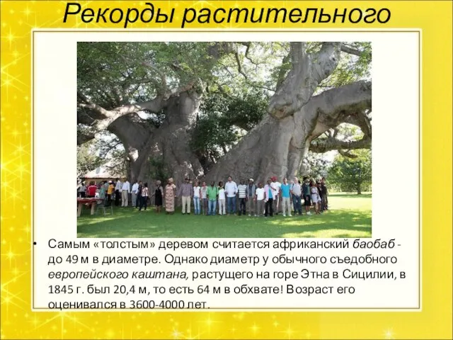 Рекорды растительного мира. Самым «толстым» деревом считается африканский баобаб - до 49