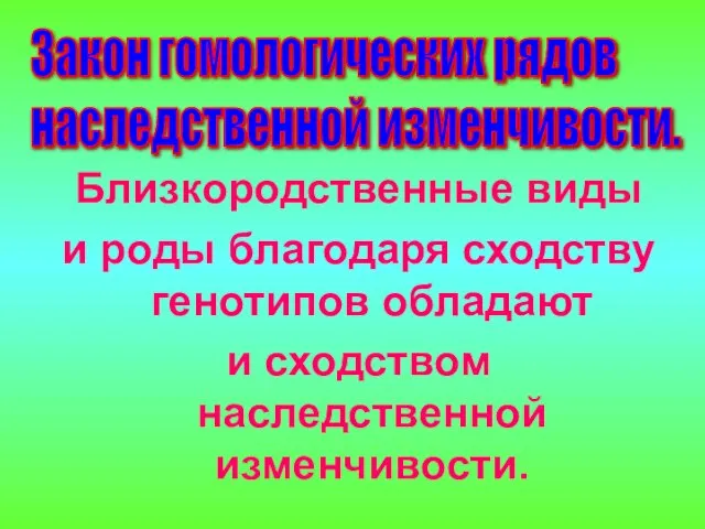 Близкородственные виды и роды благодаря сходству генотипов обладают и сходством наследственной изменчивости.