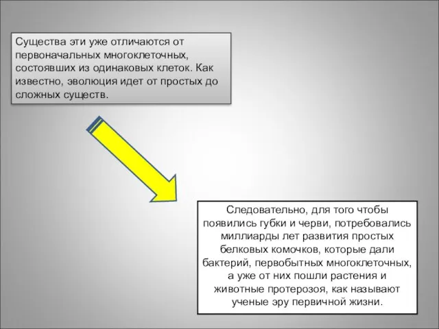 Существа эти уже отличаются от первоначальных многоклеточных, состоявших из одинаковых клеток. Как