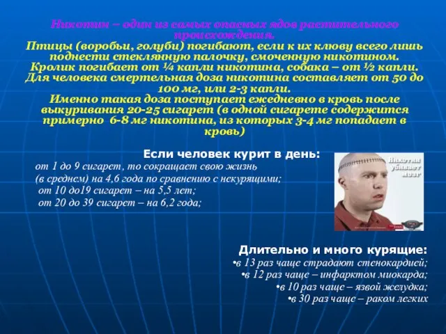 Никотин – один из самых опасных ядов растительного происхождения. Птицы (воробьи, голуби)