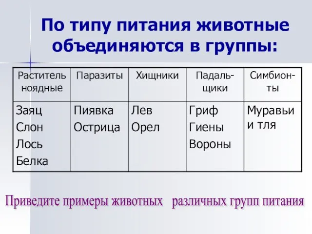 По типу питания животные объединяются в группы: Приведите примеры животных различных групп питания