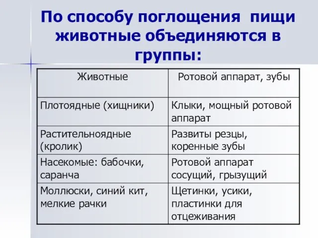 По способу поглощения пищи животные объединяются в группы: