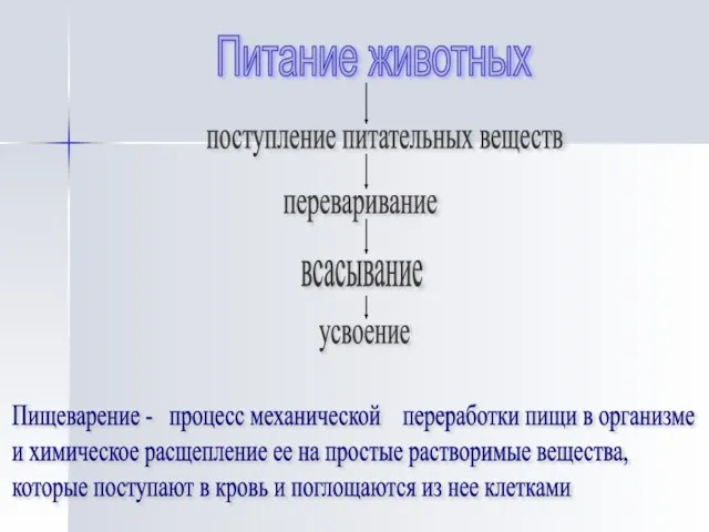 Питание животных поступление питательных веществ переваривание всасывание усвоение Пищеварение - процесс механической