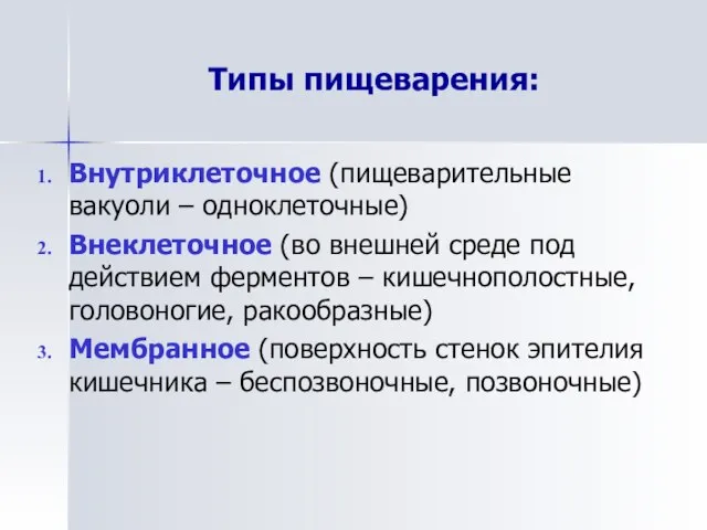 Типы пищеварения: Внутриклеточное (пищеварительные вакуоли – одноклеточные) Внеклеточное (во внешней среде под