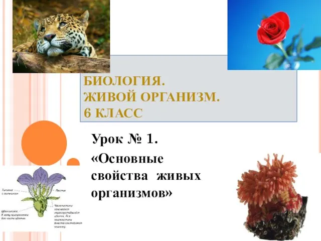 Презентация на тему Основные свойства живых организмов (6 класс)