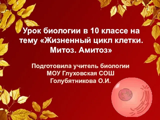 Презентация на тему Жизненный цикл клетки. Митоз. Амитоз (10 класс)