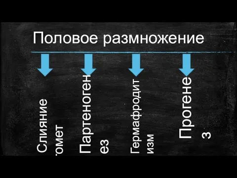 Половое размножение Слияние гомет Партеногенез Прогенез Гермафродитизм