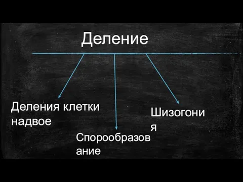 Деление Деления клетки надвое Шизогония Спорообразование