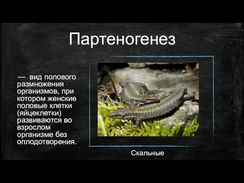 Партеногенез — вид полового размножения организмов, при котором женские половые клетки (яйцеклетки)